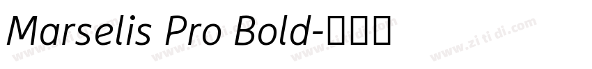 Marselis Pro Bold字体转换